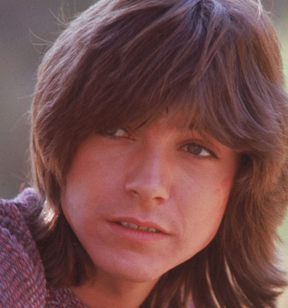 David Cassidy Photo by Michael Ochs Archives/Getty Images