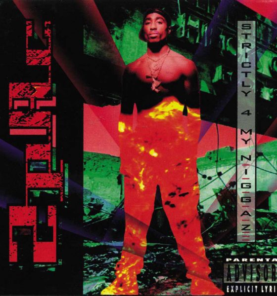 2Pac Strictly 4 My N.I.G.G.A.Z Vinyl