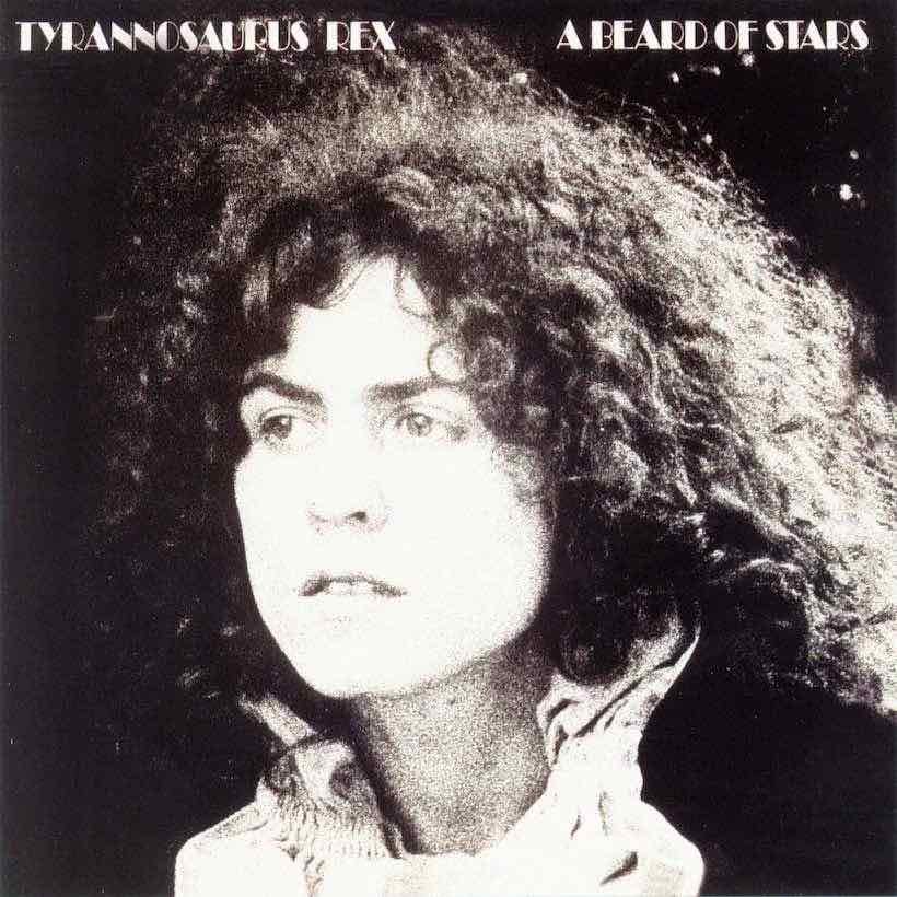 Tyrannosaurus Rex 'A Beard Of Stars' artwork - Courtesy: Universal Music