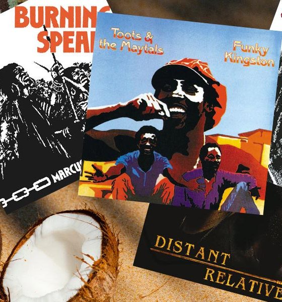 Best Reggae Vinyl Album featured image web optimised 1000