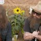 Blackberry Smoke ZZ Top Ramblin' Man