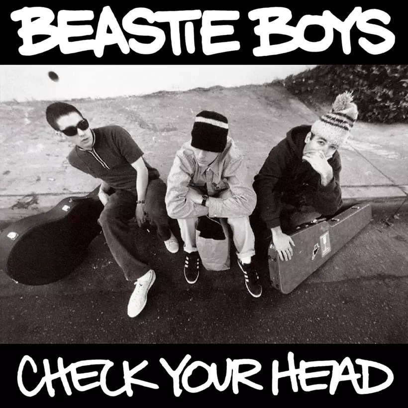 90s USA beastie boys check your head-