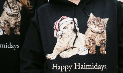 Haim Haimukkah New Merchandise