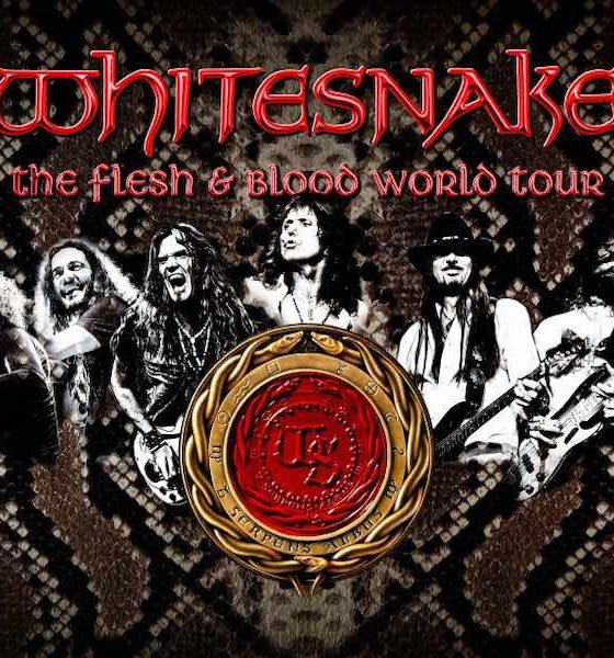 Whitesnake poster