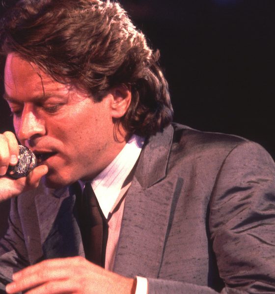 Robert Palmer - Photo: Chris Walter/WireImage