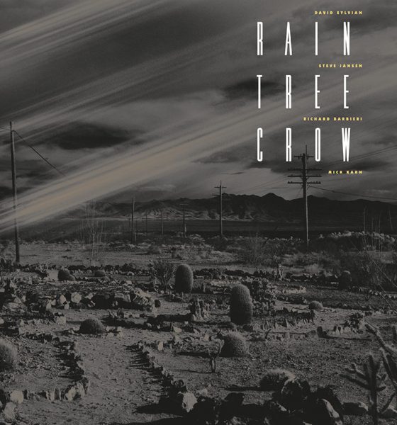 David Sylvian Rain Tree Crow Vinyl