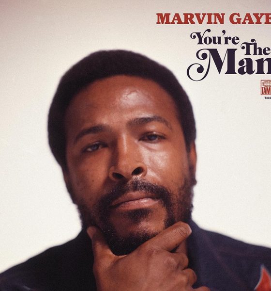 Marvin Gaye You're The Man