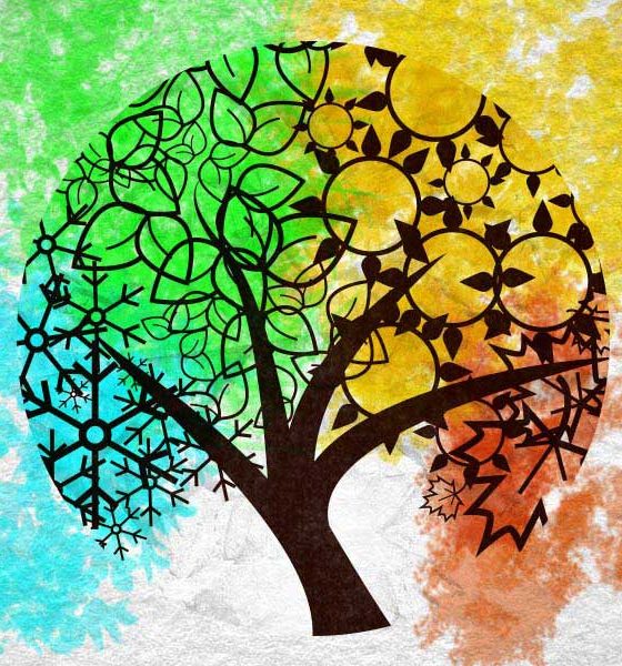 Vivaldi Four Seasons featured image of tree throughout four seasons