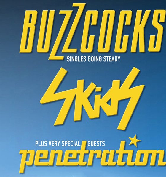 Buzzcocks Pete Shelley Tribute