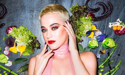 Katy Perry 2017 press shot Capitol