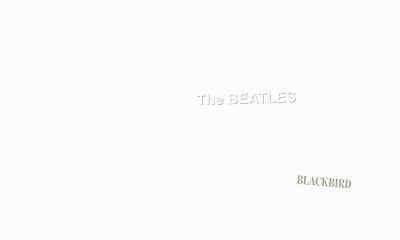 Blackbird Story Behind The Song artwork web optimised 1000 contrast 02