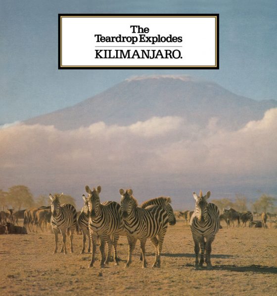 Teardrop Explodes Kilimanjaro Wilder Vinyl Reissues