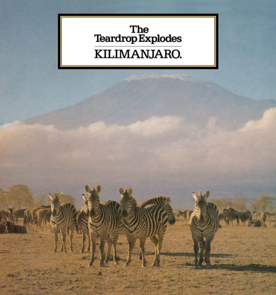 Teardrop Explodes Kilimanjaro Wilder Vinyl Reissues