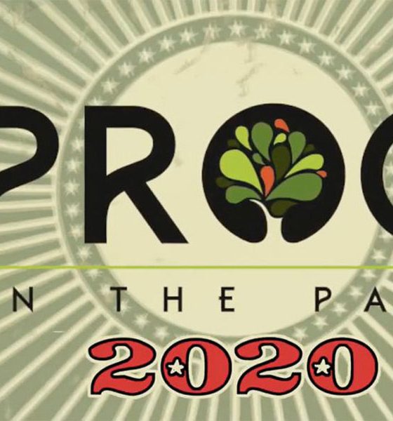 Ramblin Man Fair 2020 Prog In The Park