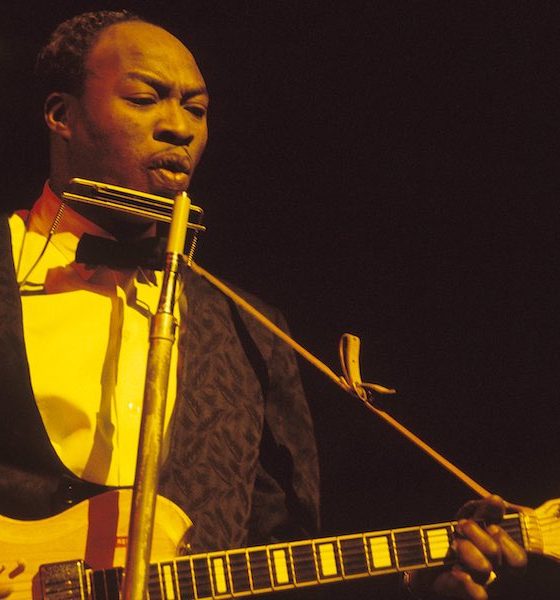 Jimmy Reed - Photo: Gai Terrell/Redferns