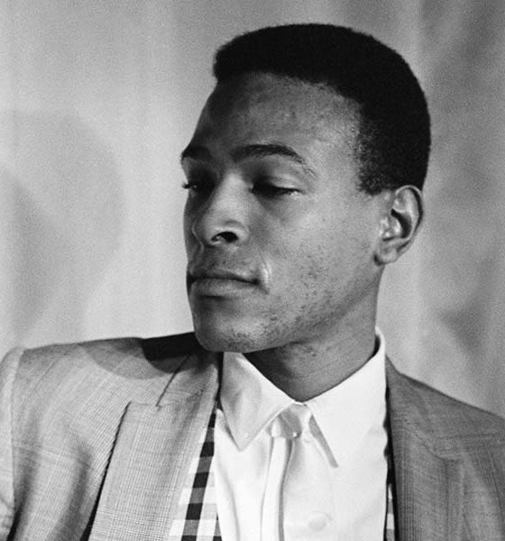 Marvin Gaye 1960s Motown/EMI Hayes Archive