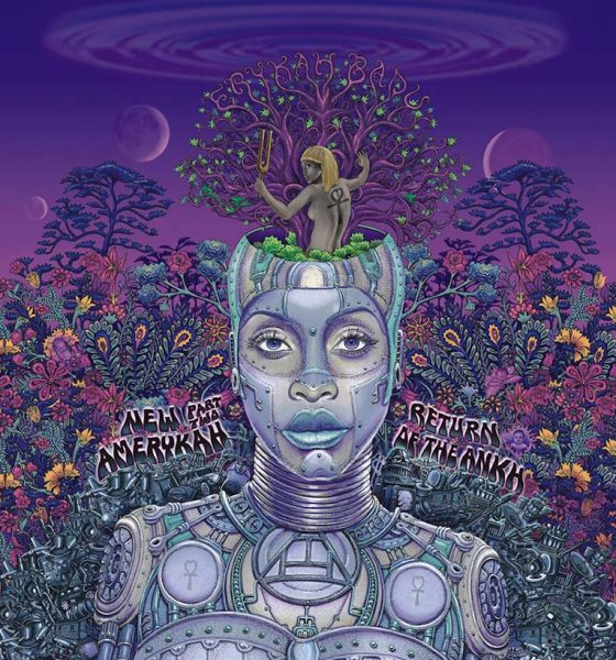 Erykah Badu New Amerykah Part Two album cover