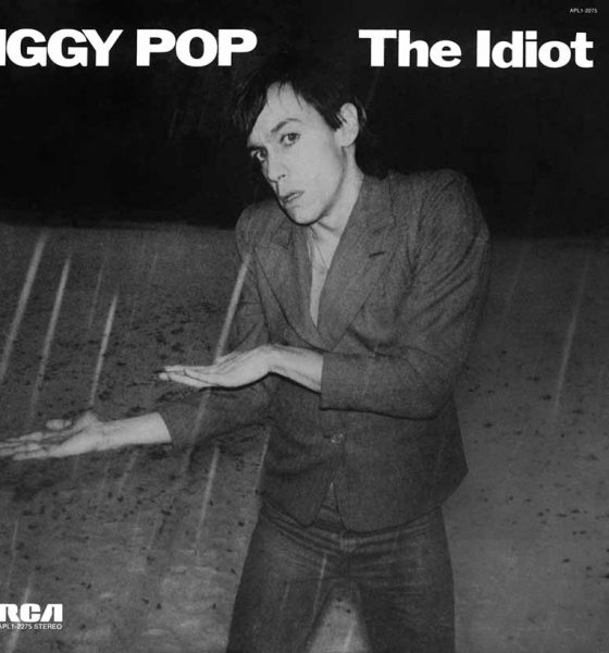 Iggy Pop The Idiot album cover 820