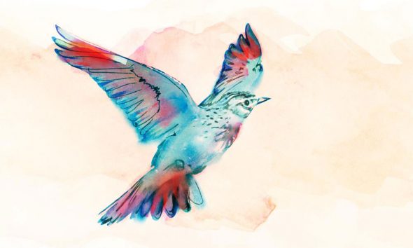 Vaughan Williams Lark Ascending - featured image of a lark