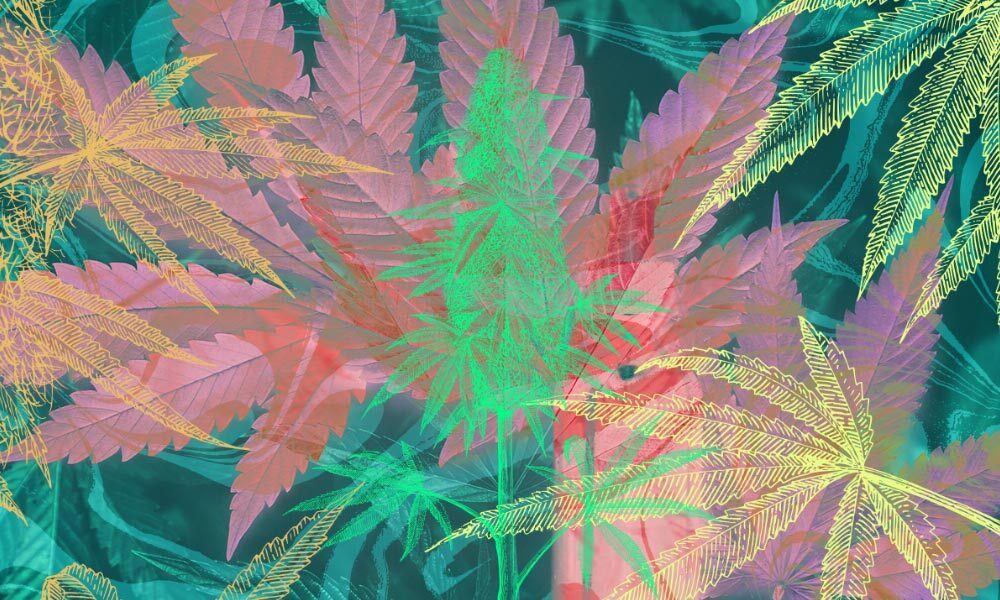 weed wallpaper hd 1080p