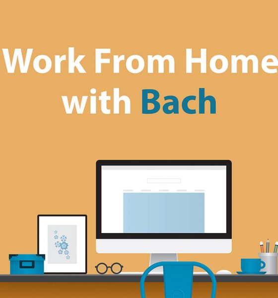 Work From Home Bach