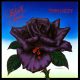 Black Rose Thin Lizzy
