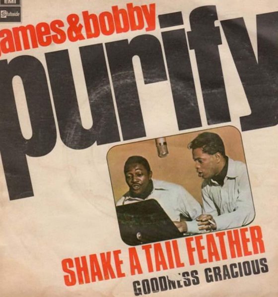 James and Bobby Purify 'Shake A Tail Feather' artwork - Courtesy: Sony