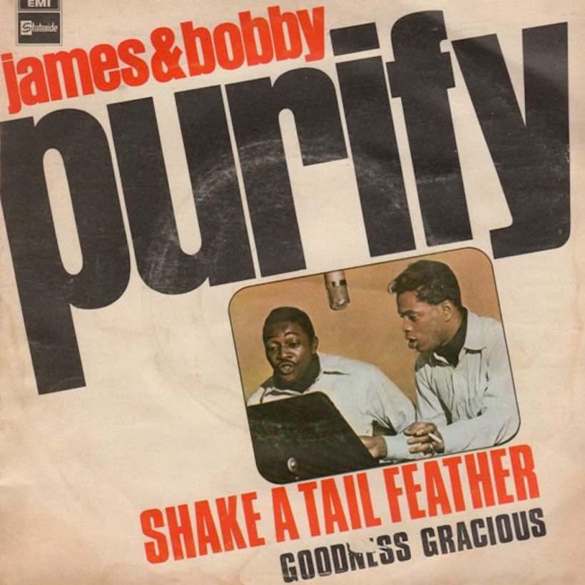 James and Bobby Purify 'Shake A Tail Feather' artwork - Courtesy: Sony