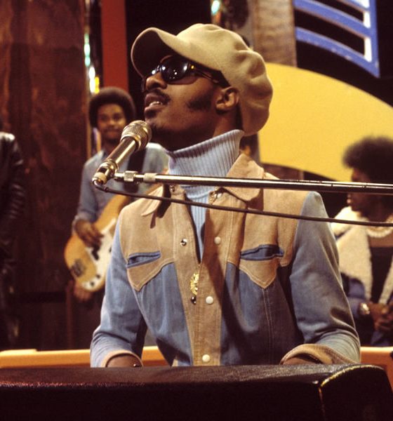 Stevie Wonder - Photo: David Redfern/Redferns