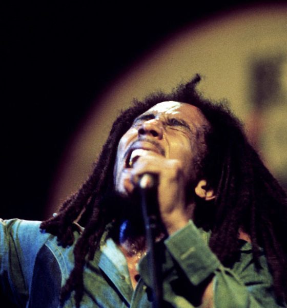 Bob-Marley-Punky-Reggae-Party-Legacy-Series