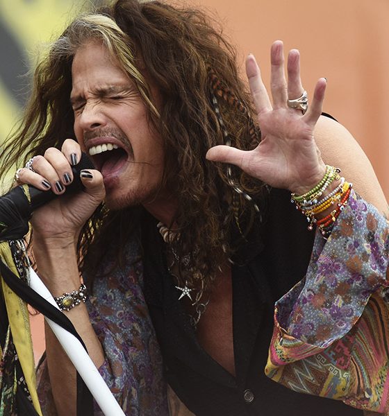 Steven Tyler photo by Tim Mosenfelder and WireImage