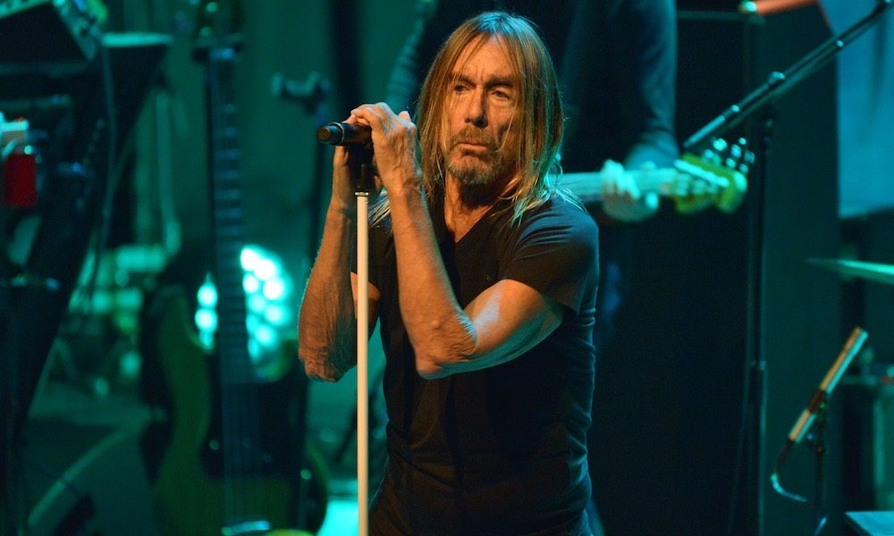 storhedsvanvid frustrerende inaktive Iggy Pop Premieres New Video For 'High On You' | uDiscover