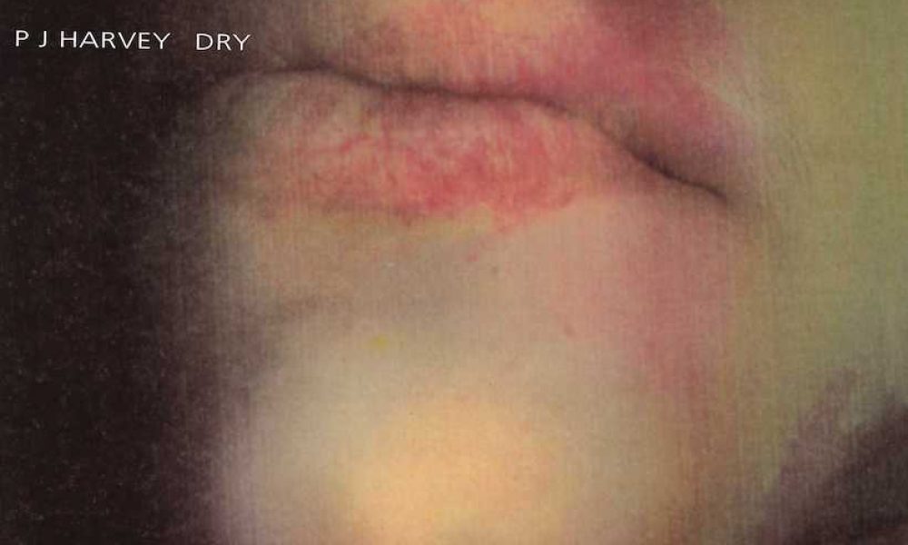 PJ Harvey Dry