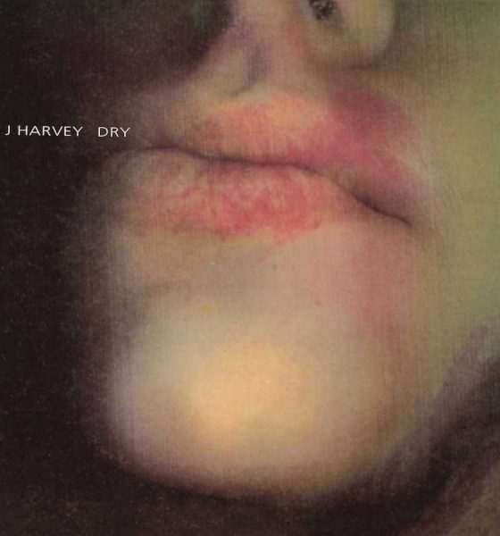 PJ Harvey Dry