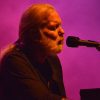 Southern Blood Brother: The Life And Times Of Gregg Allman