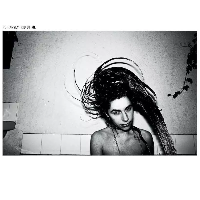 Eso aborto Silla Rid Of Me': PJ Harvey's Towering 50-Foot Masterpiece