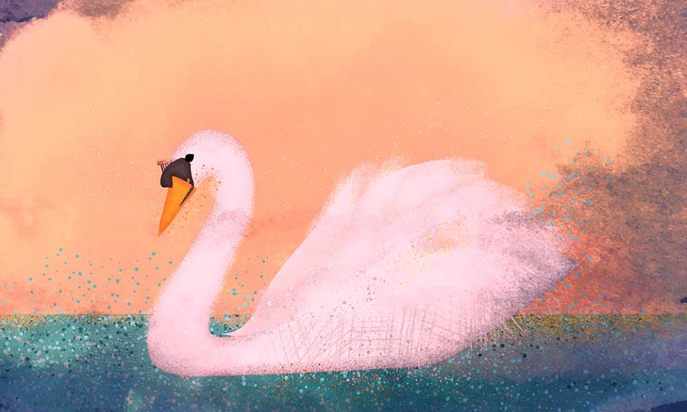 Saint-Saëns' 'Carnival Of The Animals': A Grand Zoological Fantasy | Saint-Saëns' 'Carnival Of The Animals': A Grand Zoological Fantasy |