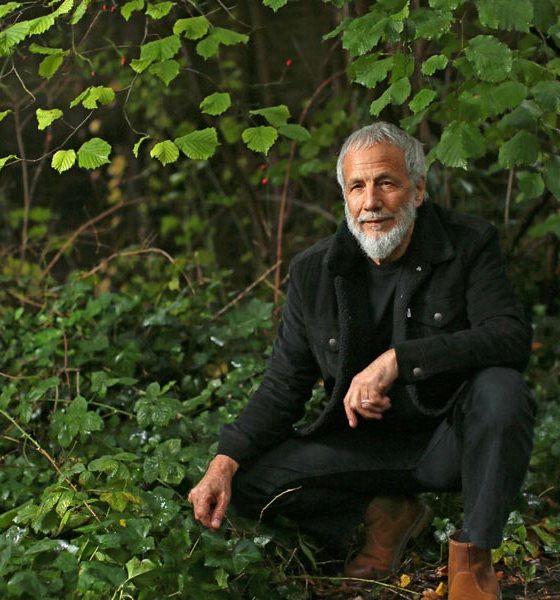 Yusuf-Cat-Stevens-Tea-For-The-Tillerman-Video