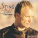 ‘Desert Rose’: The Story Behind Sting’s Genre-Defying Hit