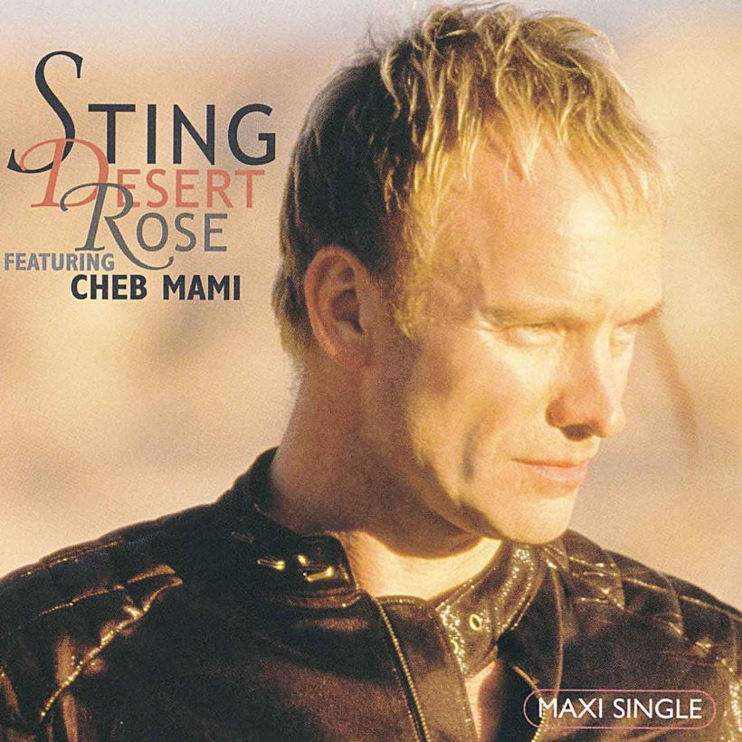 Sting Desert Rose single cover