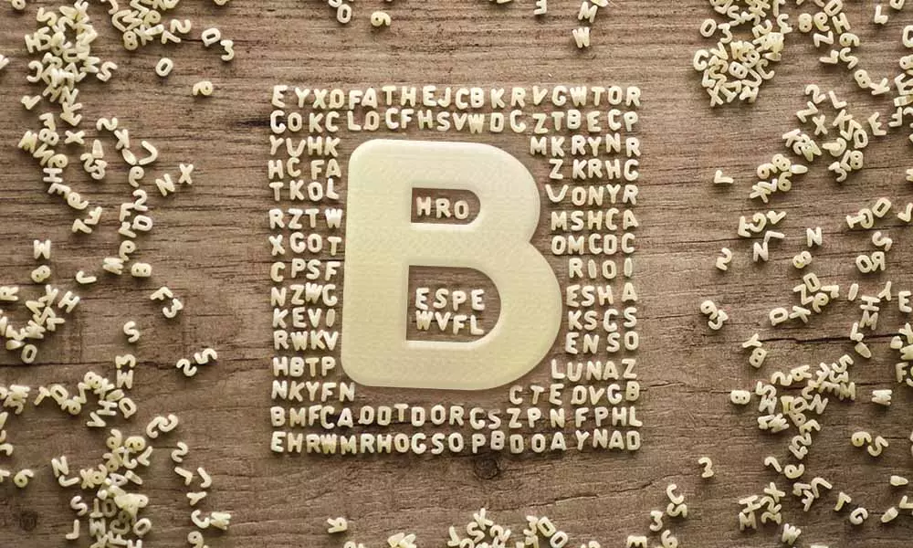 B. Musik bands and references