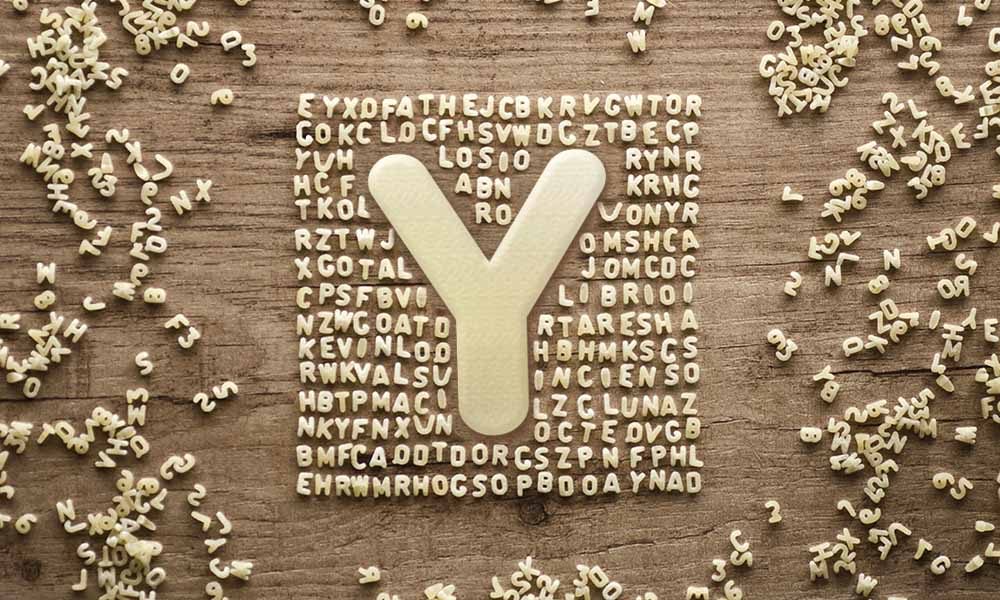 bands that start with the letter y