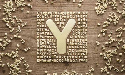 bands that start with the letter y