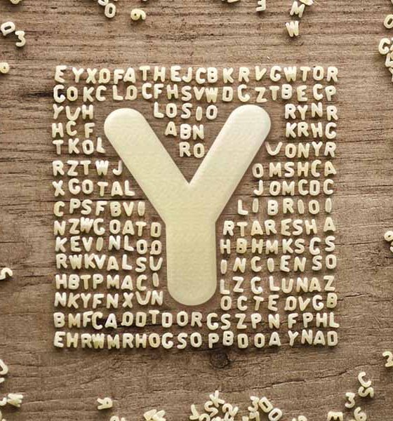bands that start with the letter y