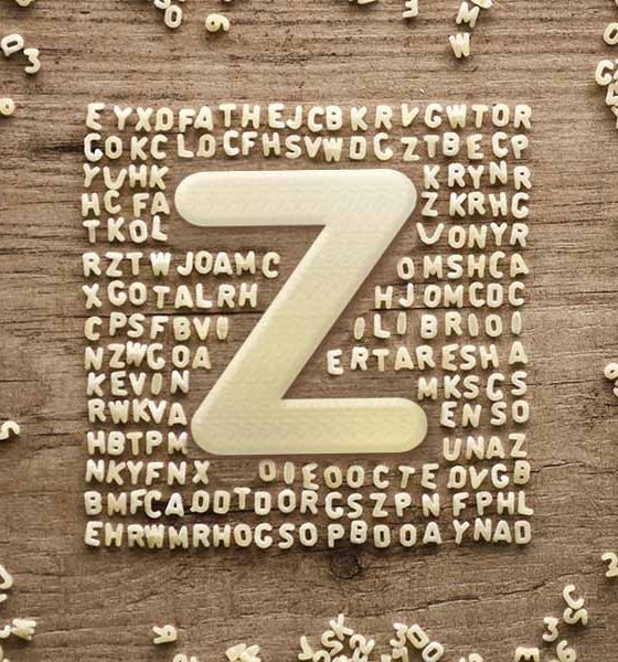 bands that start with the letter z