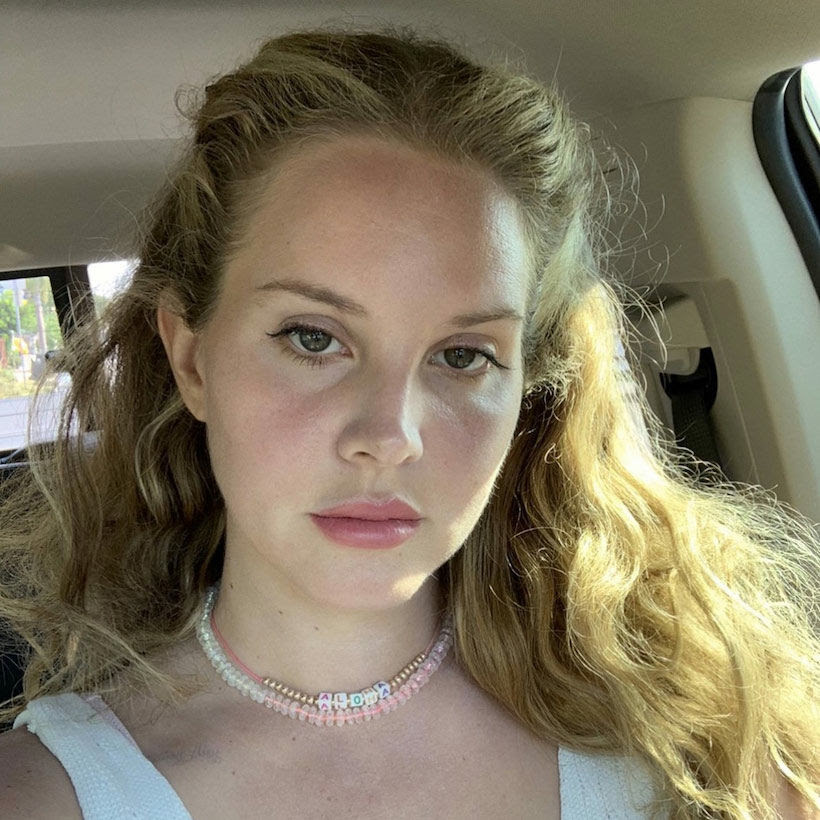 Lana bee twitter