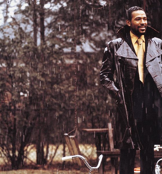 Marvin Gaye 50th