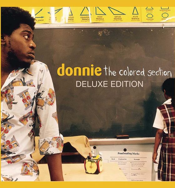 Donnie The Colored Section album cover
