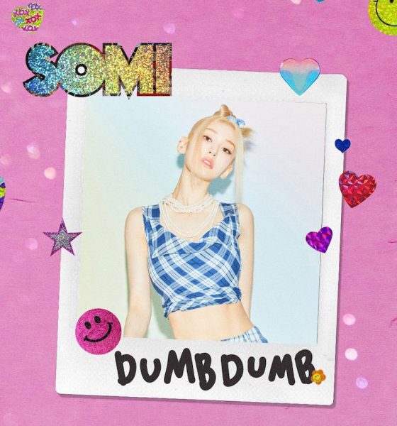 Somi-Dumb-Dumb