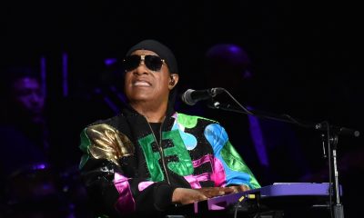 Stevie Wonder - Photo: Lester Cohen/Getty Images for Wonder Productions